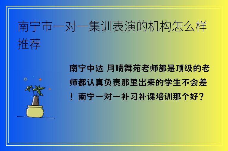 南寧市一對一集訓表演的機構怎么樣推薦