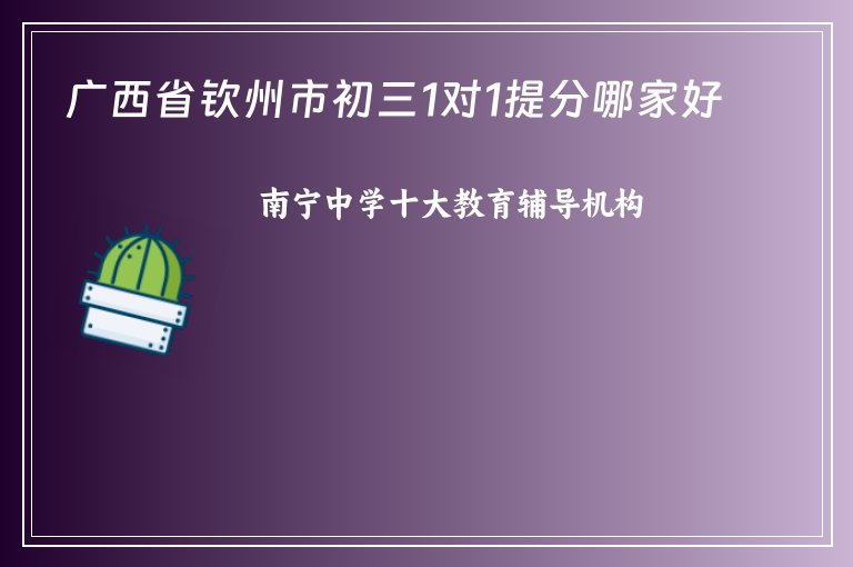 廣西省欽州市初三1對1提分哪家好