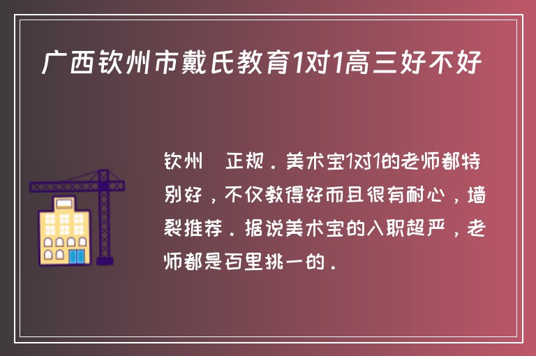 廣西欽州市戴氏教育1對1高三好不好