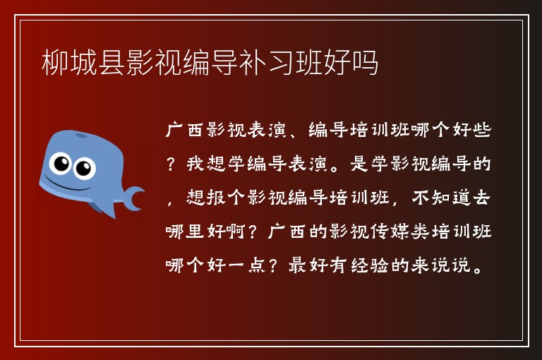 柳城縣影視編導補習班好嗎