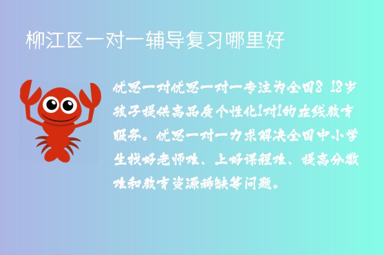 柳江區(qū)一對(duì)一輔導(dǎo)復(fù)習(xí)哪里好