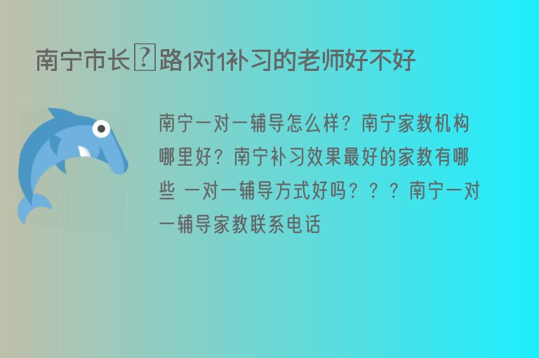 南寧市長堽路1對1補習(xí)的老師好不好