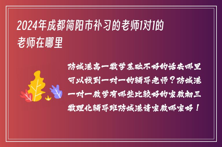 2024年成都簡陽市補(bǔ)習(xí)的老師1對1的老師在哪里