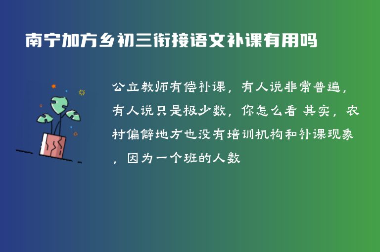 南寧加方鄉(xiāng)初三銜接語文補(bǔ)課有用嗎