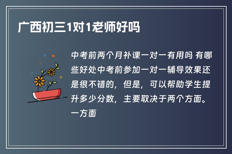 廣西初三1對1老師好嗎