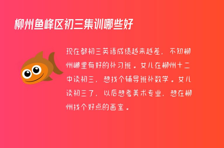 柳州魚峰區(qū)初三集訓(xùn)哪些好