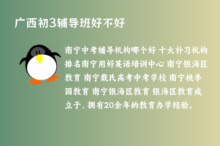 廣西初3輔導(dǎo)班好不好