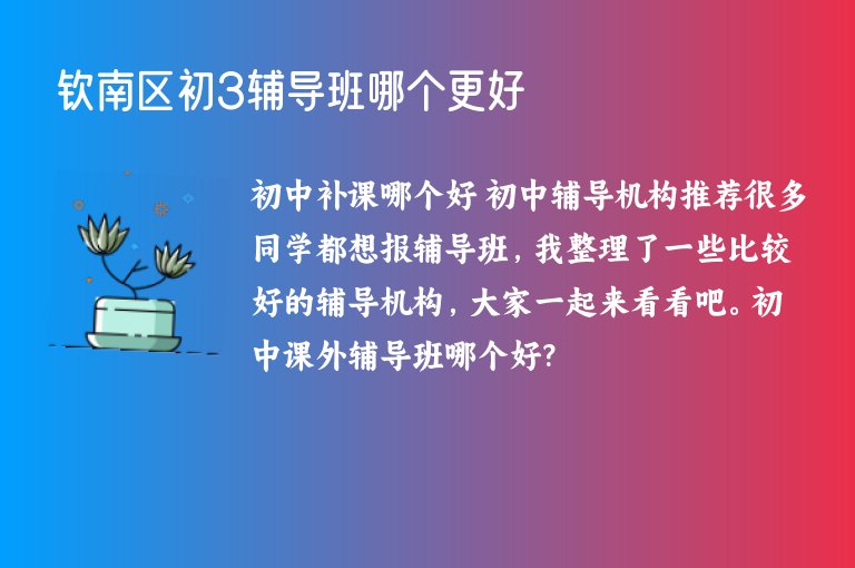 欽南區(qū)初3輔導班哪個更好