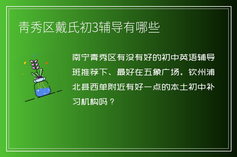 青秀區(qū)戴氏初3輔導有哪些