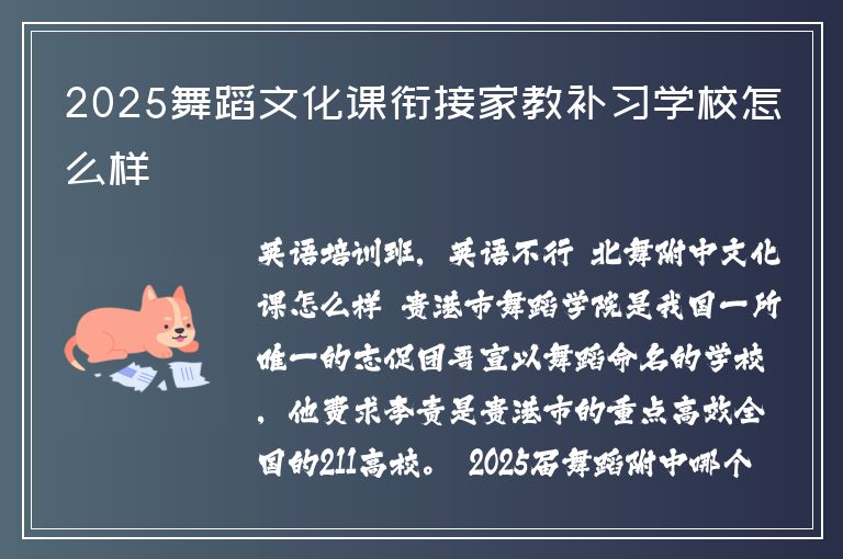 2025舞蹈文化課銜接家教補(bǔ)習(xí)學(xué)校怎么樣