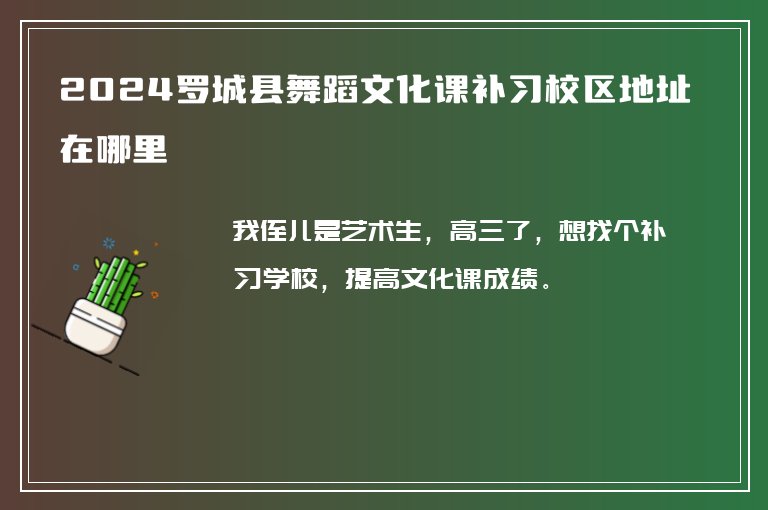 2024羅城縣舞蹈文化課補(bǔ)習(xí)校區(qū)地址在哪里