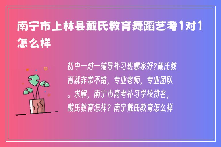 南寧市上林縣戴氏教育舞蹈藝考1對1怎么樣