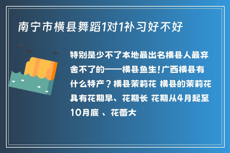 南寧市橫縣舞蹈1對1補(bǔ)習(xí)好不好