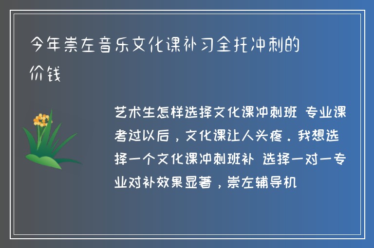 今年崇左音樂文化課補習全托沖刺的價錢