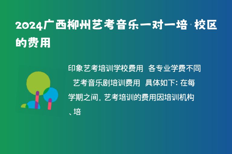 2024廣西柳州藝考音樂一對(duì)一培訓(xùn)校區(qū)的費(fèi)用