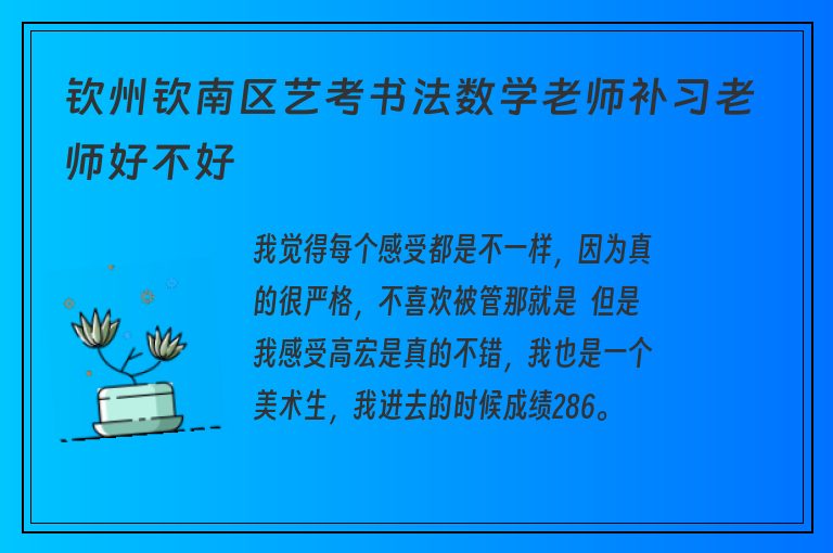 欽州欽南區(qū)藝考書法數(shù)學(xué)老師補習(xí)老師好不好