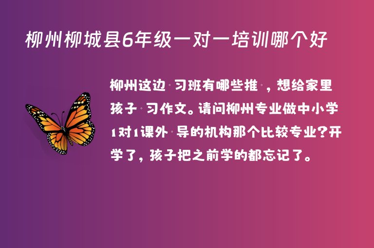 柳州柳城縣6年級(jí)一對(duì)一培訓(xùn)哪個(gè)好