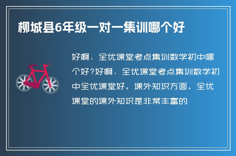 柳城縣6年級一對一集訓(xùn)哪個好