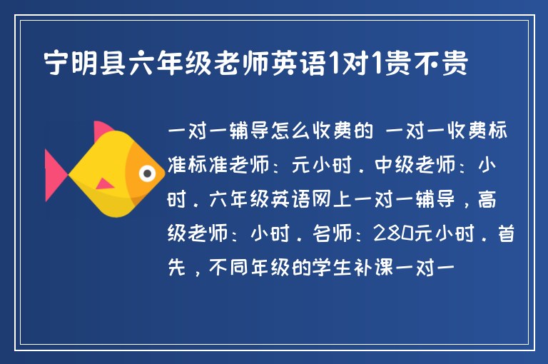 寧明縣六年級老師英語1對1貴不貴