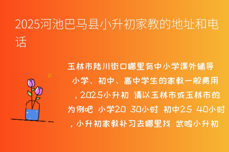 2025河池巴馬縣小升初家教的地址和電話