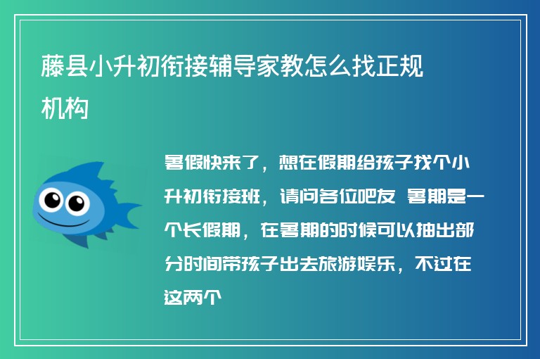 藤縣小升初銜接輔導家教怎么找正規(guī)機構(gòu)