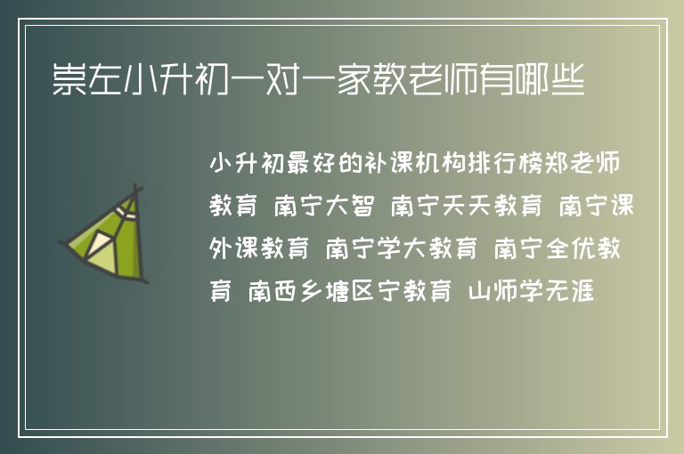 崇左小升初一對一家教老師有哪些