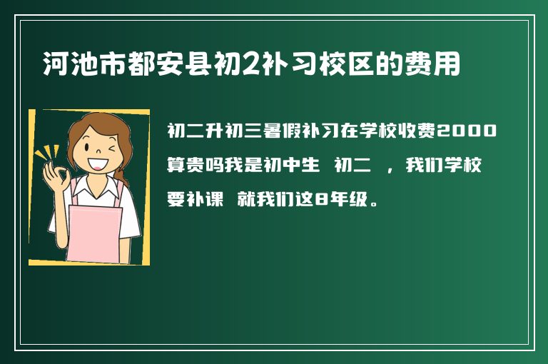 河池市都安縣初2補習校區(qū)的費用