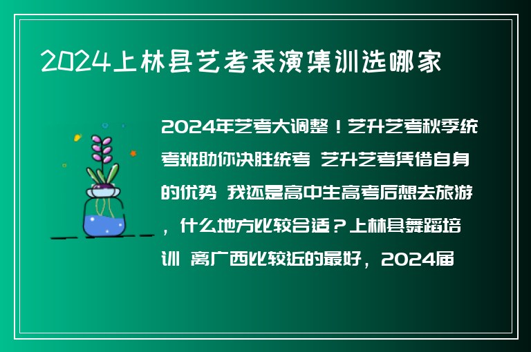 2024上林縣藝考表演集訓(xùn)選哪家