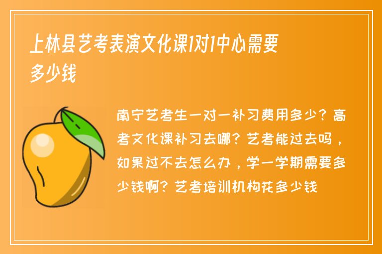 上林縣藝考表演文化課1對1中心需要多少錢