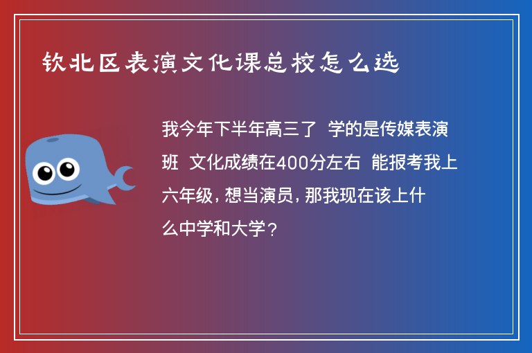 欽北區(qū)表演文化課總校怎么選