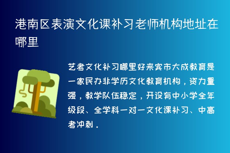 港南區(qū)表演文化課補(bǔ)習(xí)老師機(jī)構(gòu)地址在哪里