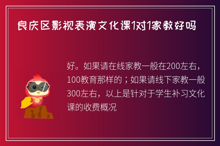 良慶區(qū)影視表演文化課1對1家教好嗎