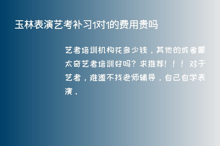 玉林表演藝考補習1對1的費用貴嗎