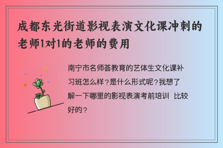 成都東光街道影視表演文化課沖刺的老師1對(duì)1的老師的費(fèi)用