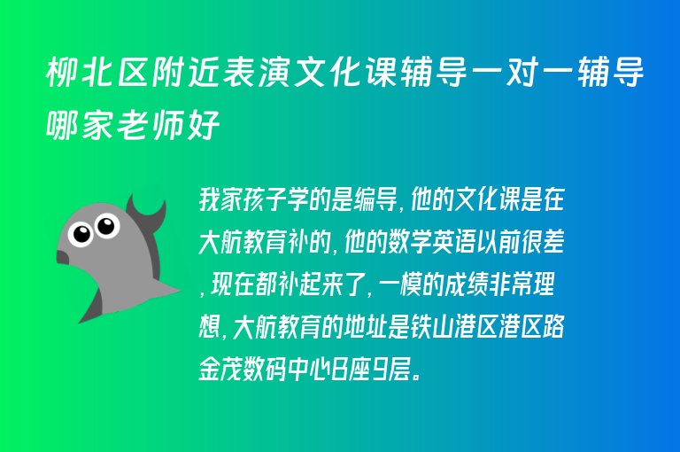 柳北區(qū)附近表演文化課輔導(dǎo)一對(duì)一輔導(dǎo)哪家老師好