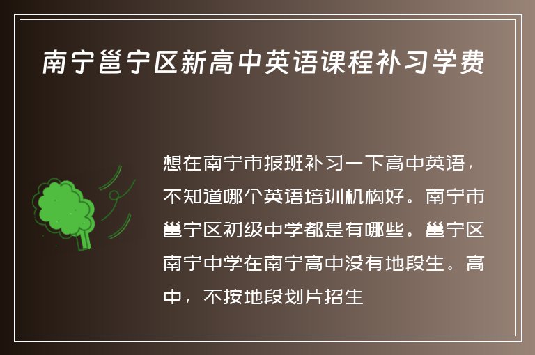 南寧邕寧區(qū)新高中英語課程補習學費