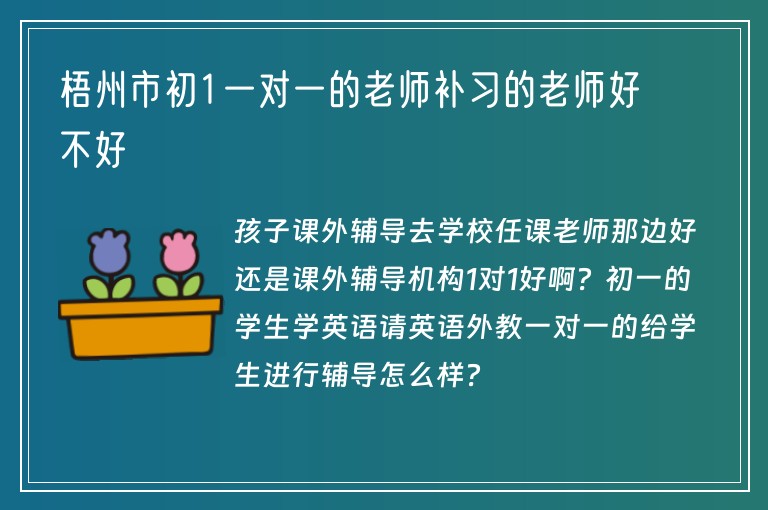 梧州市初1一對一的老師補(bǔ)習(xí)的老師好不好