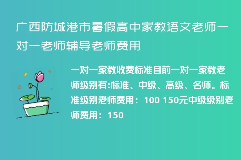 廣西防城港市暑假高中家教語文老師一對一老師輔導(dǎo)老師費用