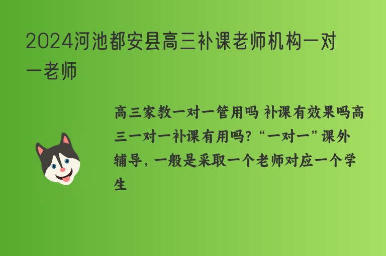 2024河池都安縣高三補課老師機(jī)構(gòu)一對一老師