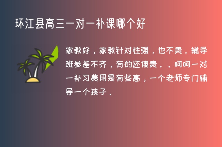 環(huán)江縣高三一對一補(bǔ)課哪個好