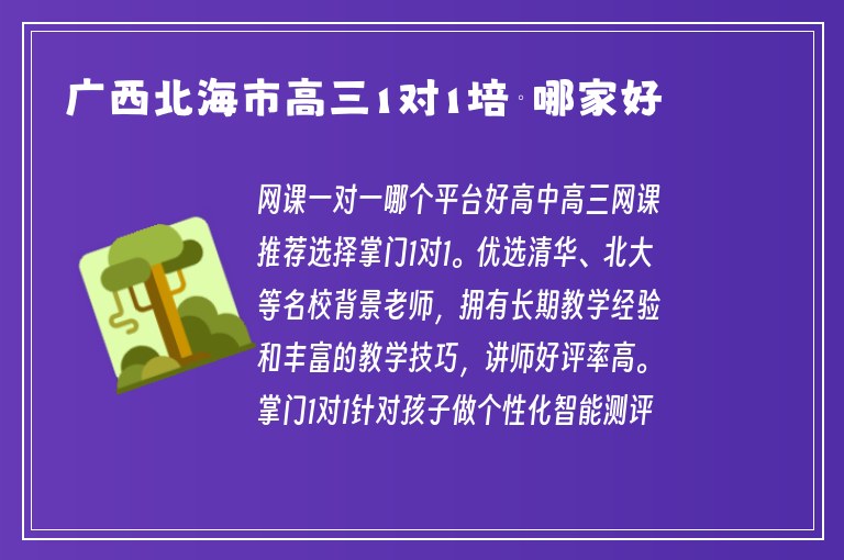 廣西北海市高三1對1培訓(xùn)哪家好