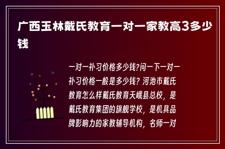 廣西玉林戴氏教育一對一家教高3多少錢