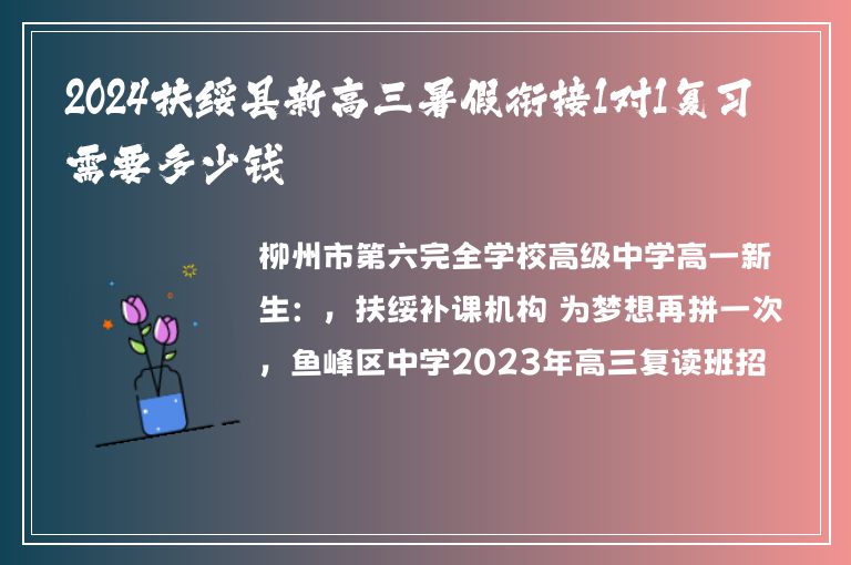 2024扶綏縣新高三暑假銜接1對1復(fù)習(xí)需要多少錢