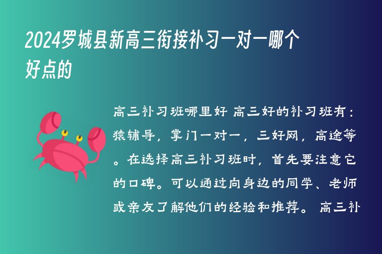 2024羅城縣新高三銜接補習一對一哪個好點的