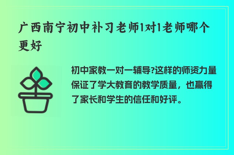 廣西南寧初中補習老師1對1老師哪個更好