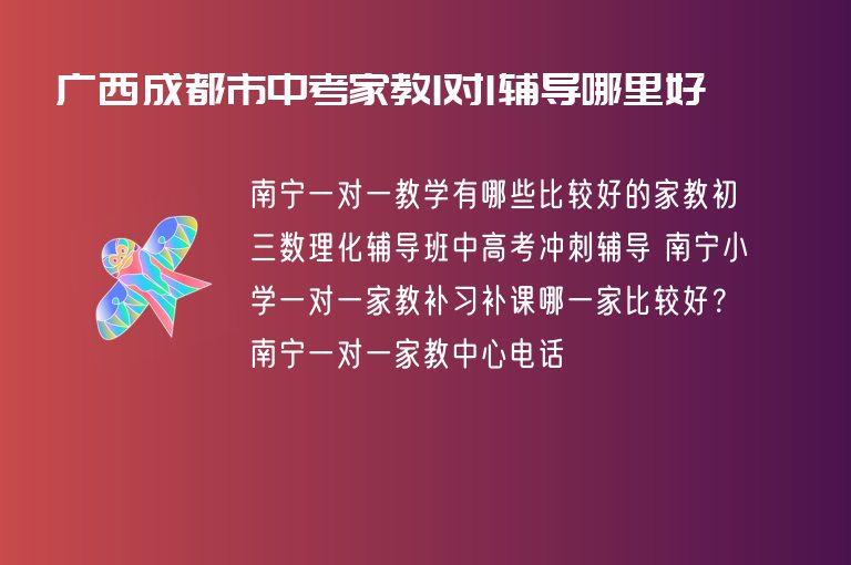 廣西成都市中考家教1對1輔導(dǎo)哪里好