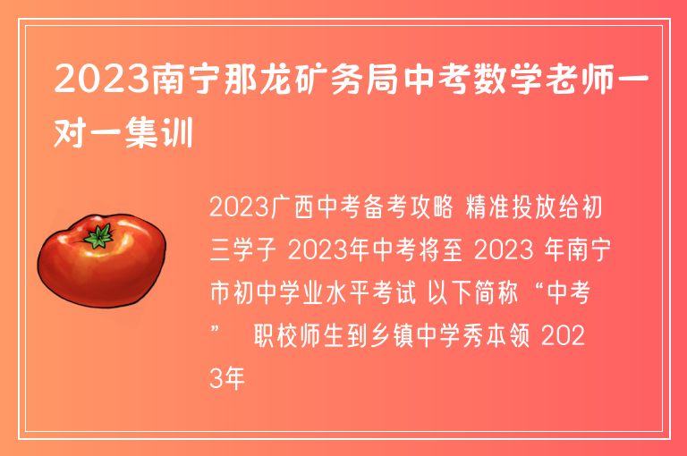 2023南寧那龍礦務(wù)局中考數(shù)學(xué)老師一對一集訓(xùn)