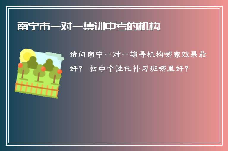 南寧市一對一集訓中考的機構(gòu)