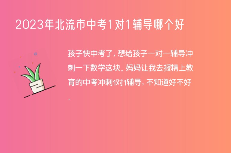 2023年北流市中考1對1輔導(dǎo)哪個好