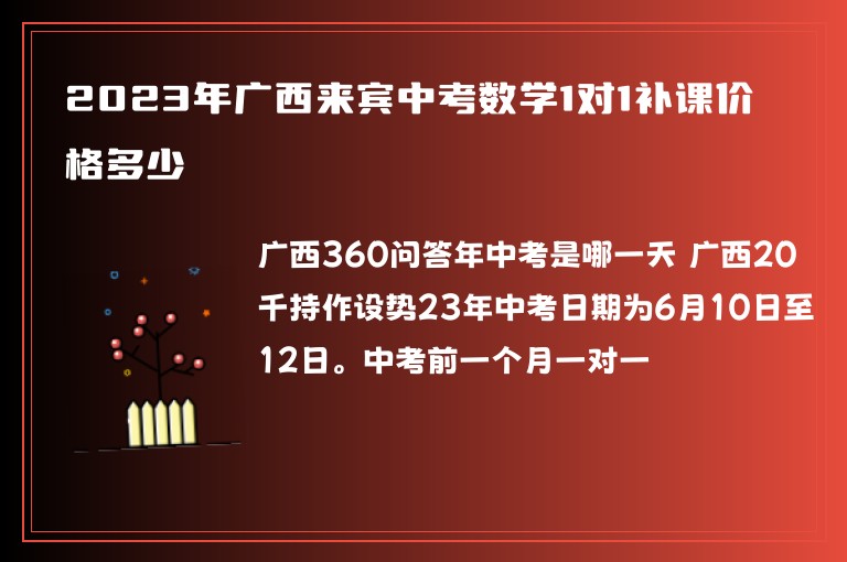 2023年廣西來(lái)賓中考數(shù)學(xué)1對(duì)1補(bǔ)課價(jià)格多少